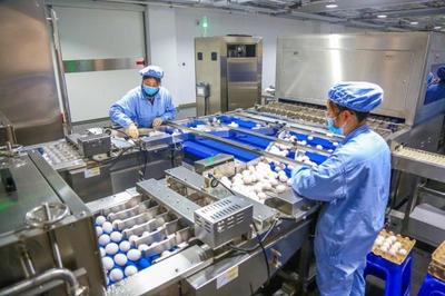 華蘭生物董事長安康 研發(fā)不斷前行，新型疫苗與生物制品蓄勢待發(fā)