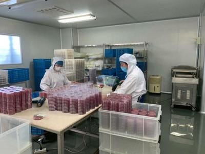 政策支持與精準(zhǔn)服務(wù) 虹口區(qū)助力企業(yè)3天攻克病毒采樣管研制難關(guān)