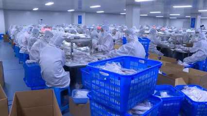 燃起來(lái) | “虎”力全開(kāi) 生物制品生產(chǎn)的“開(kāi)工即決戰(zhàn)”之路