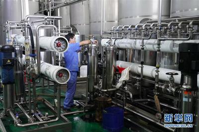 大污染變身“大寶藏” 畜禽糞污治理催生綠色產業新機遇